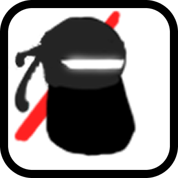 Ninja
